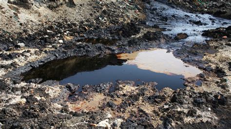 Scientists Rinse Soils Clean of Dangerous Heavy Metals - Research ...